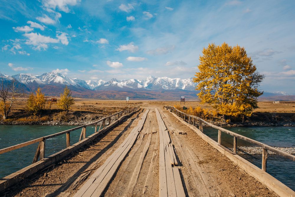 Фотография автора Алексей Новиков