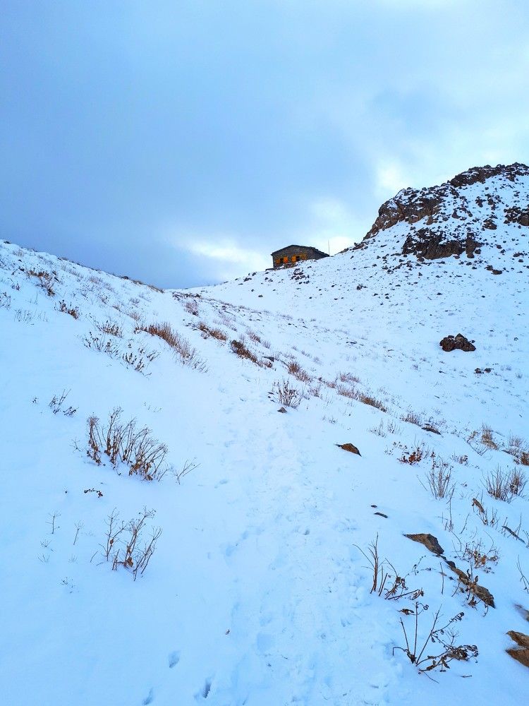 Nature under the snow