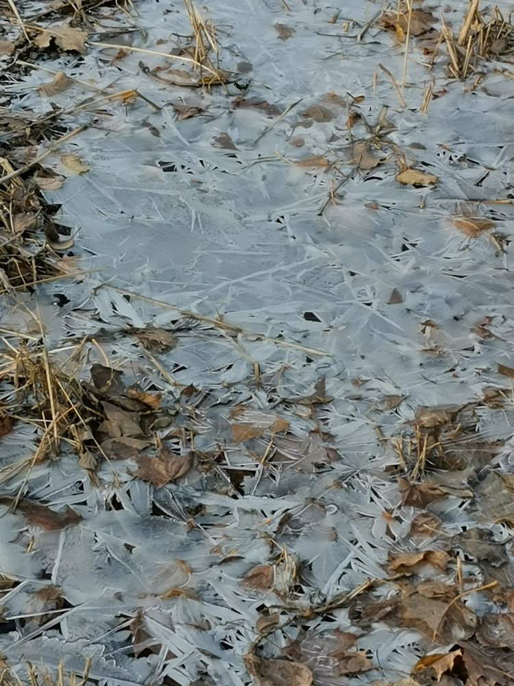 Photograph by Власова Ольга Николаевна