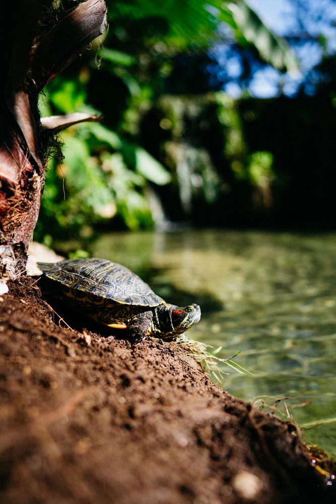 Photograph by Михаил