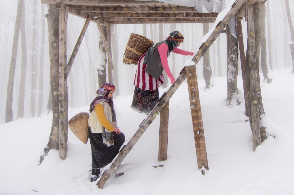 Photograph by Mustafa CEBECIOGLU