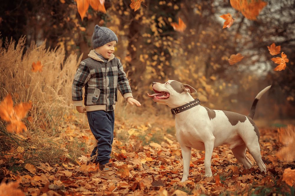 Photograph by Iryna Petrenko