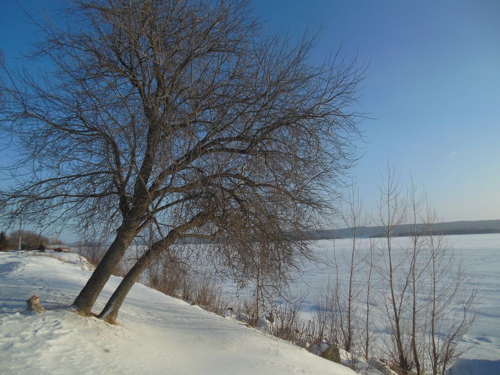 Photograph by Светлана Батурова