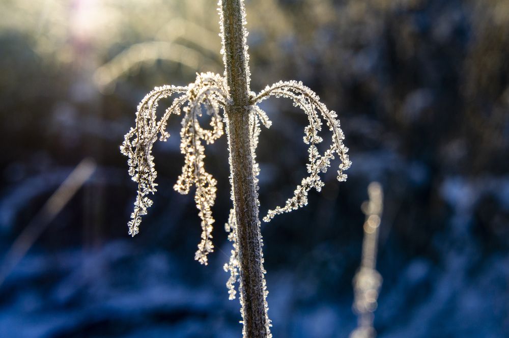 Photograph by Павел Минкевич