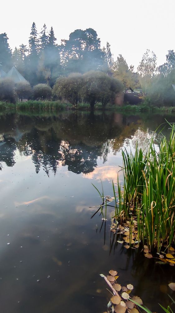 Фотография автора Марина Гусева