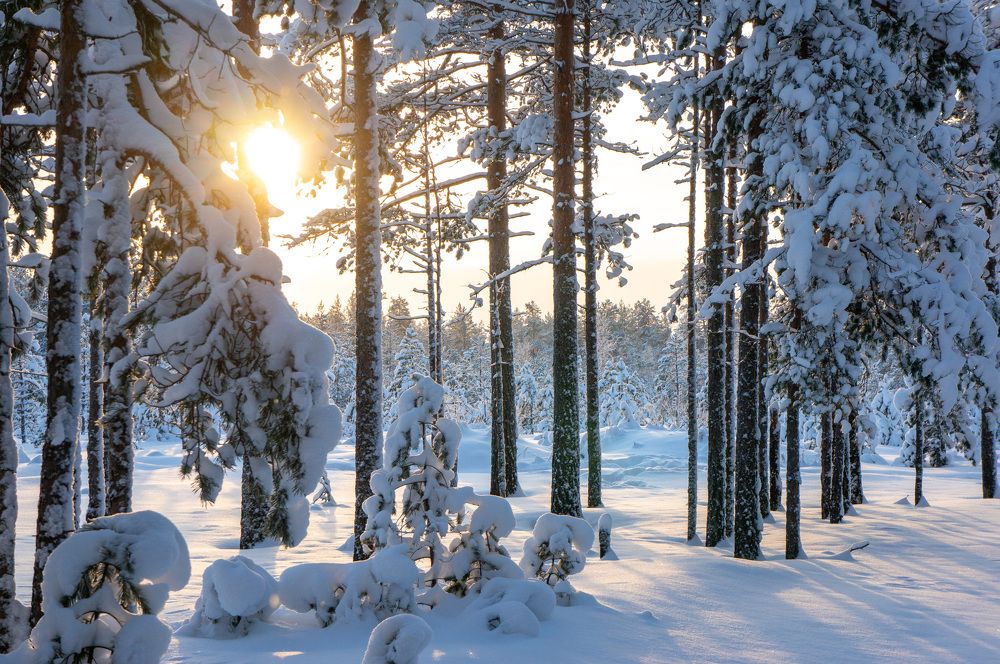 Фотография автора Екатерина Кожевникова