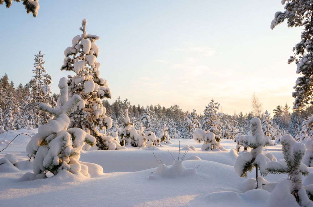 Фотография автора Екатерина Кожевникова