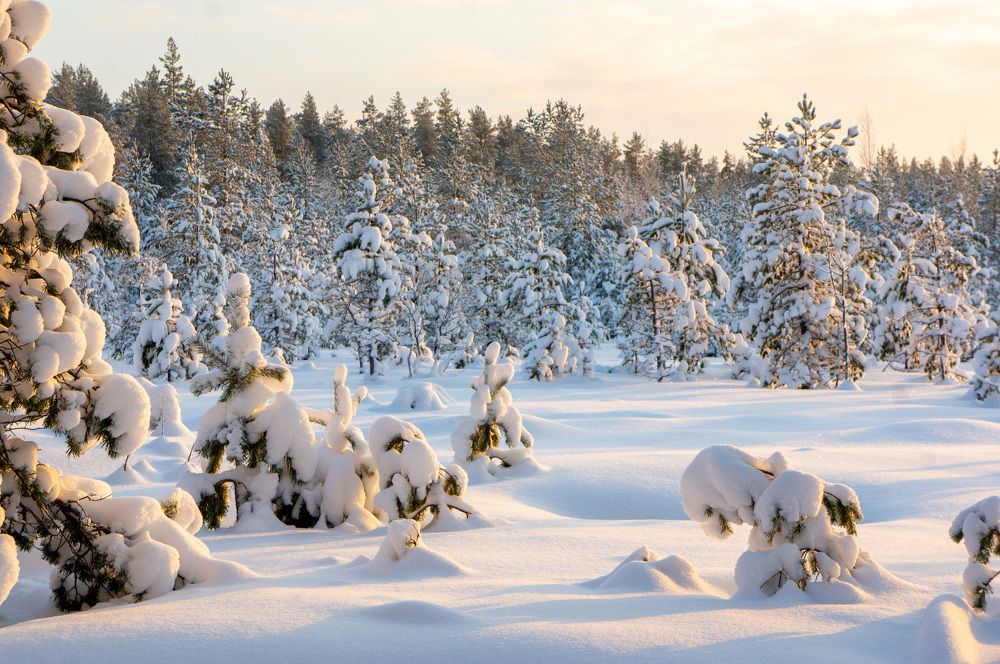 Фотография автора Екатерина Кожевникова