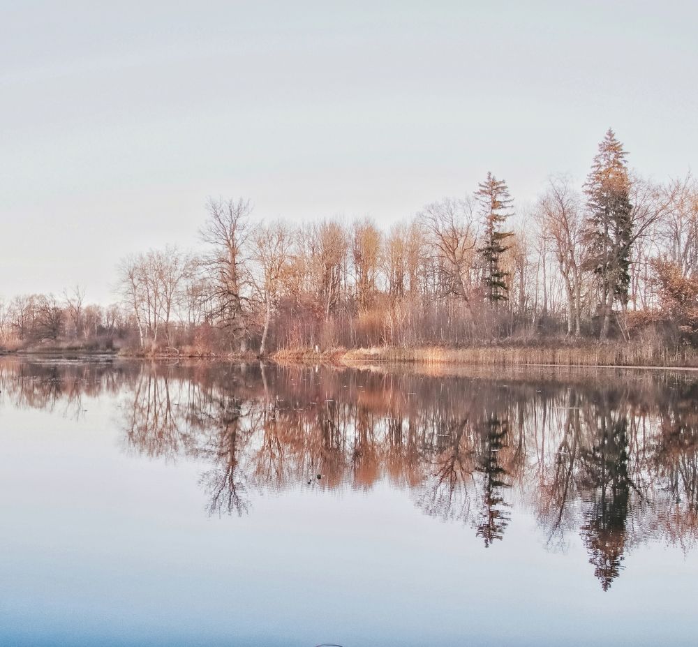 Photograph by Ирина Салминен