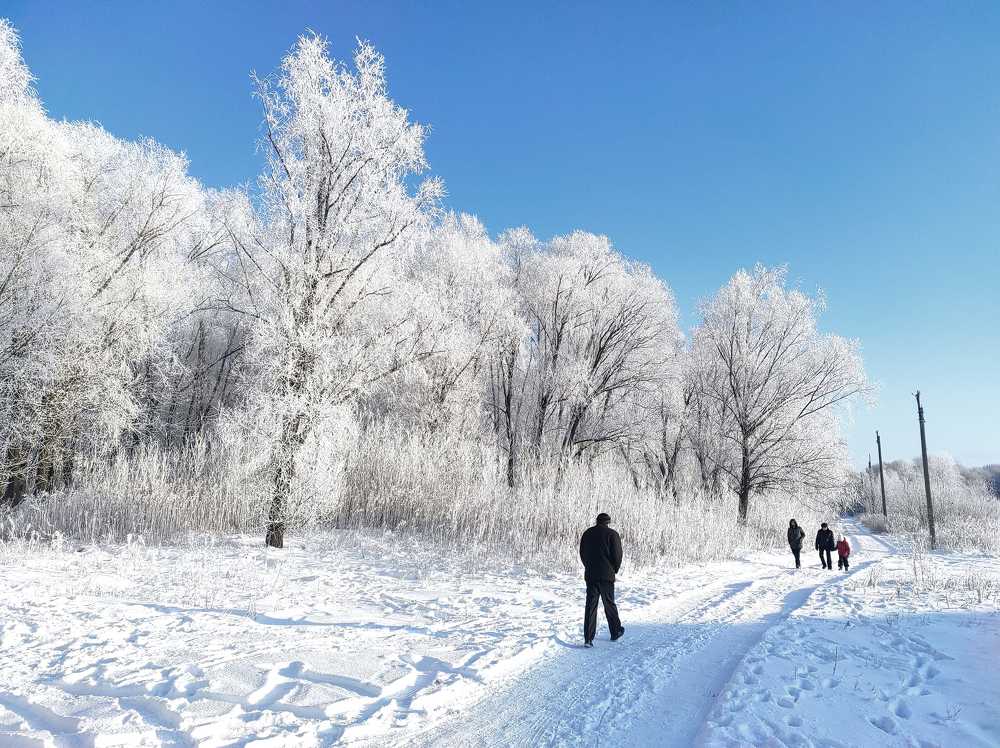Photograph by Алексей Шамашов