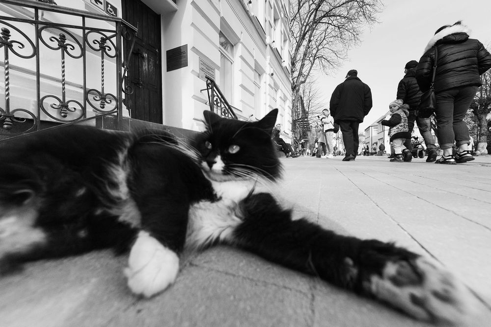 Photograph by Алексей Шамашов