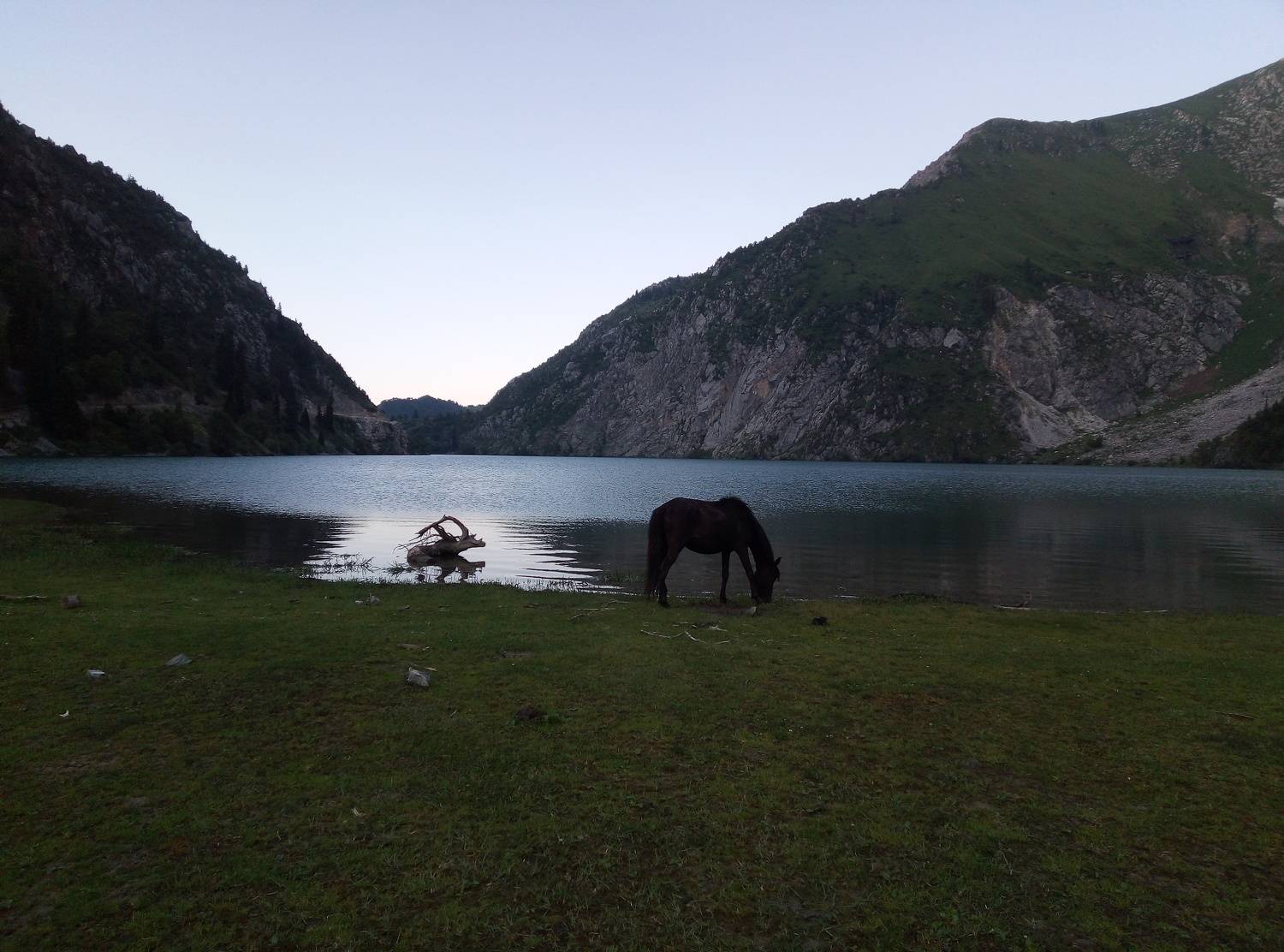 Photo #6929680