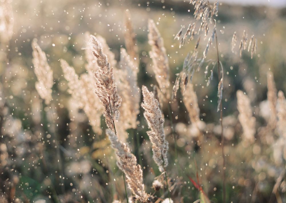 Photograph by Алена Полетаева