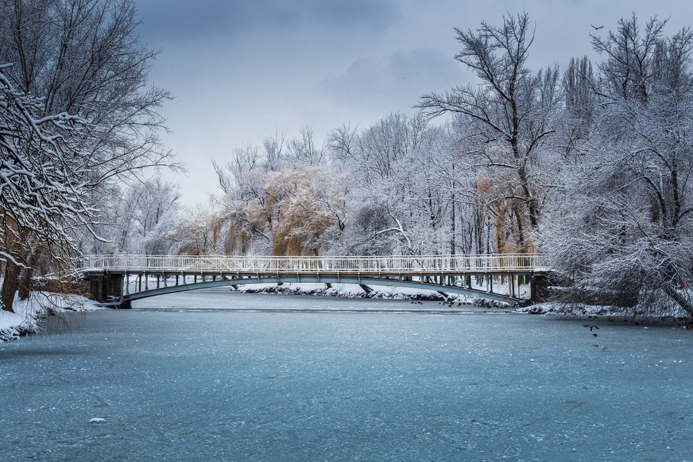 Photograph by Анна Хазова