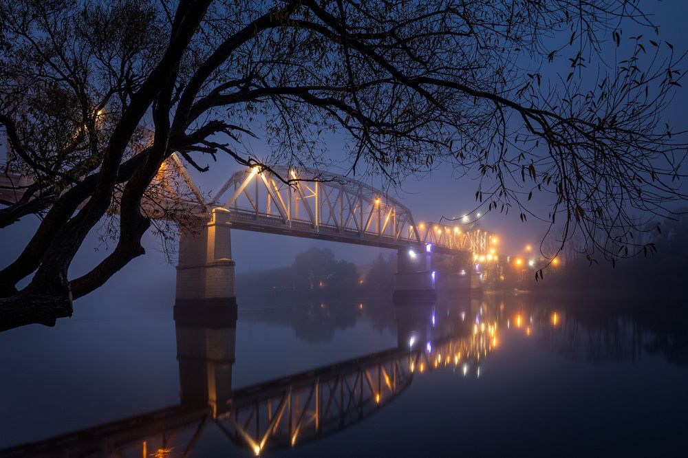 Puente niebla