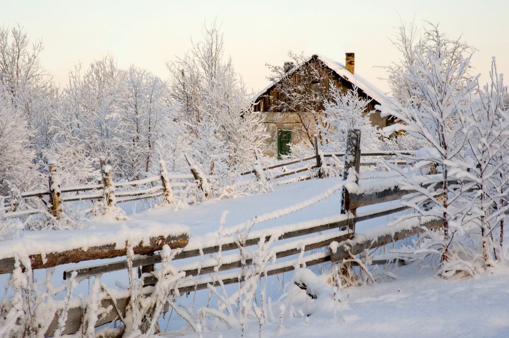 Photograph by ARTEM KORZHUKOV