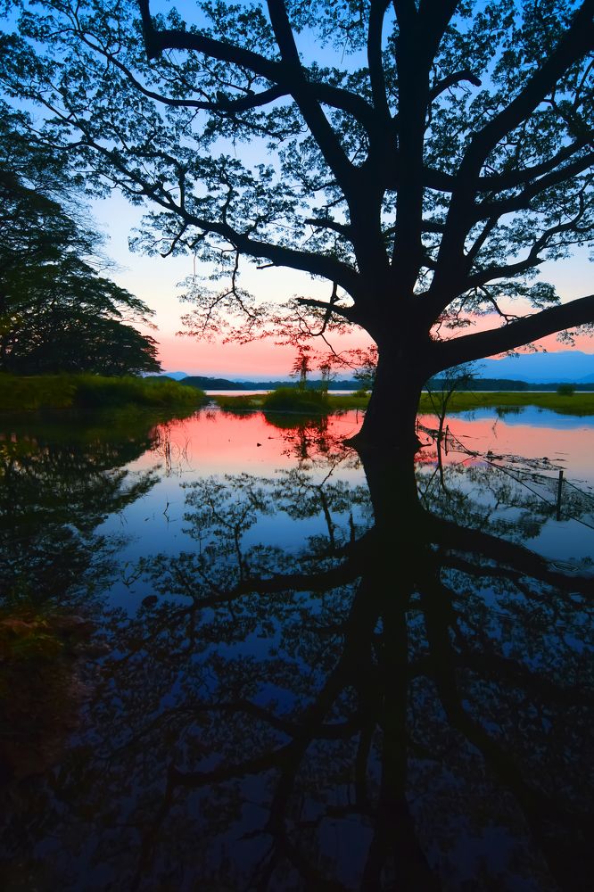 Фотография автора Namal Siriwardena