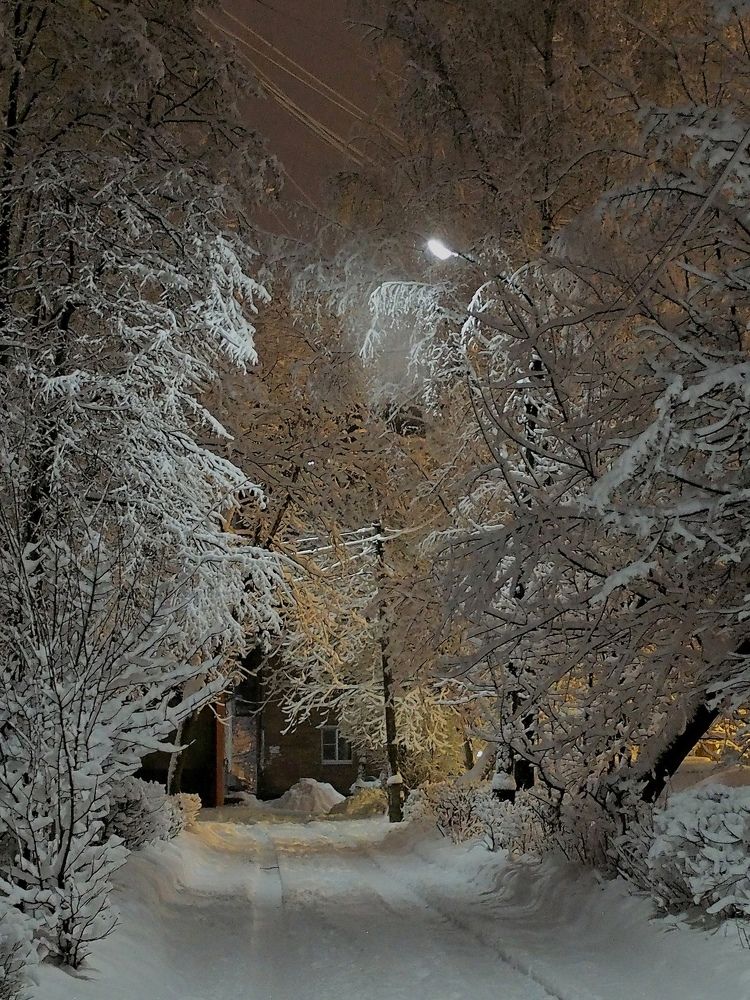 Photograph by Елена Харитонова