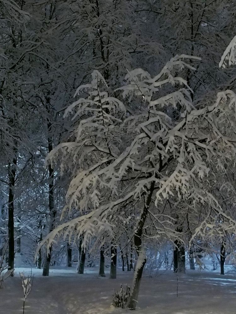 Photograph by Елена Харитонова