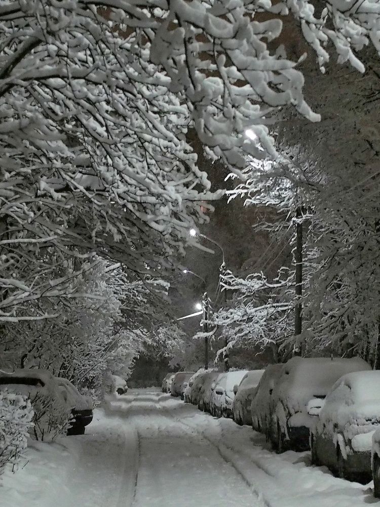 Photograph by Елена Харитонова