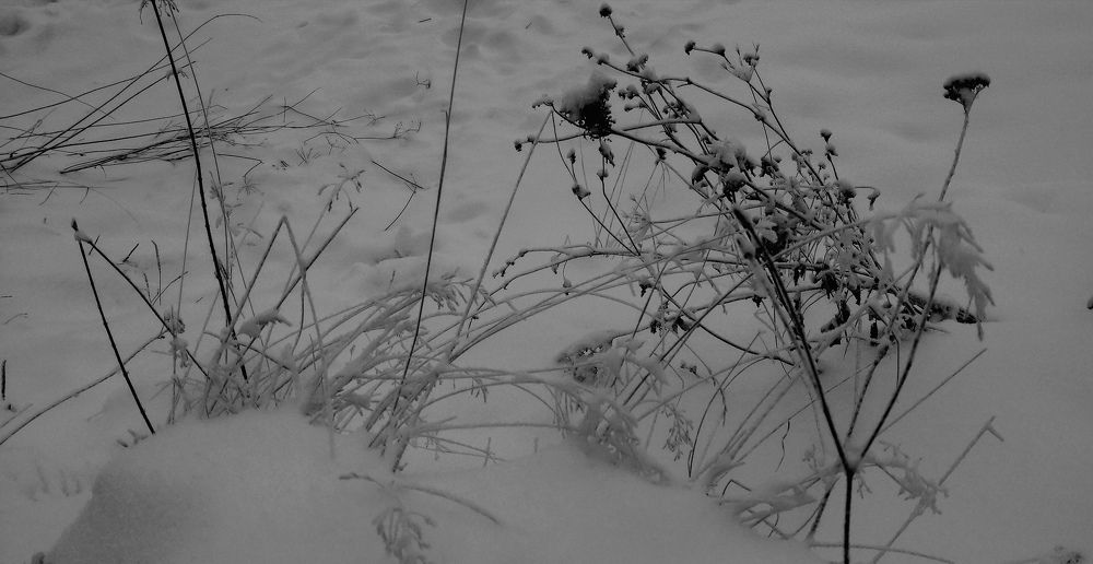 Photograph by Елизавета Загудаева