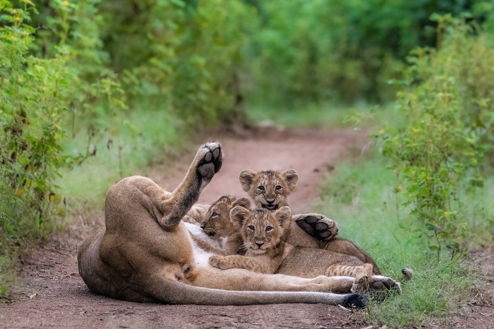 Photograph by Pinkesh Tanna