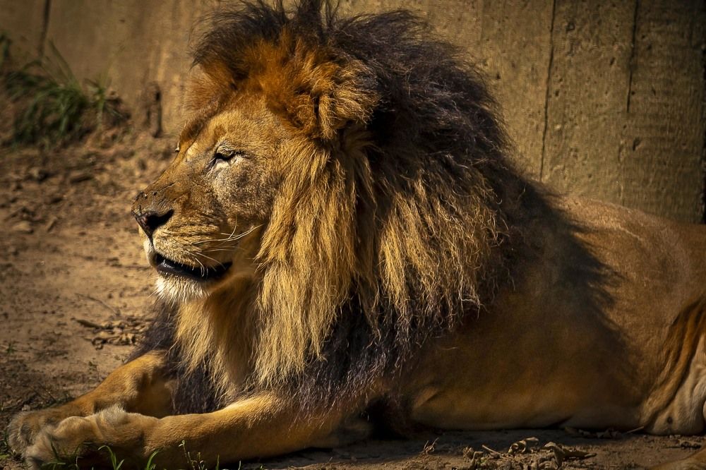 Фотография автора Aleksandr Dahov