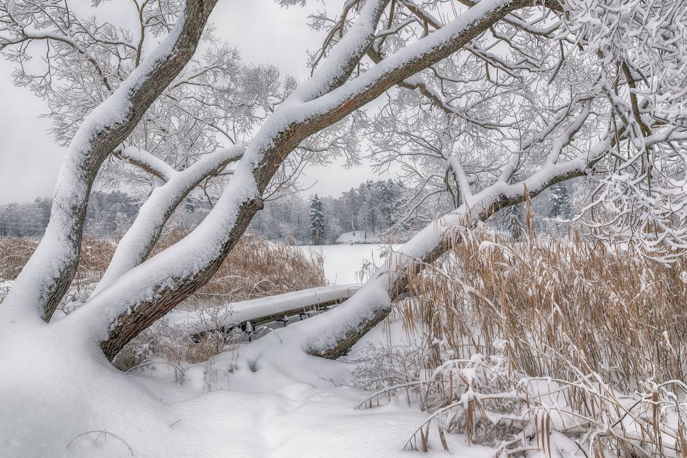 Photograph by Аникин Сергей