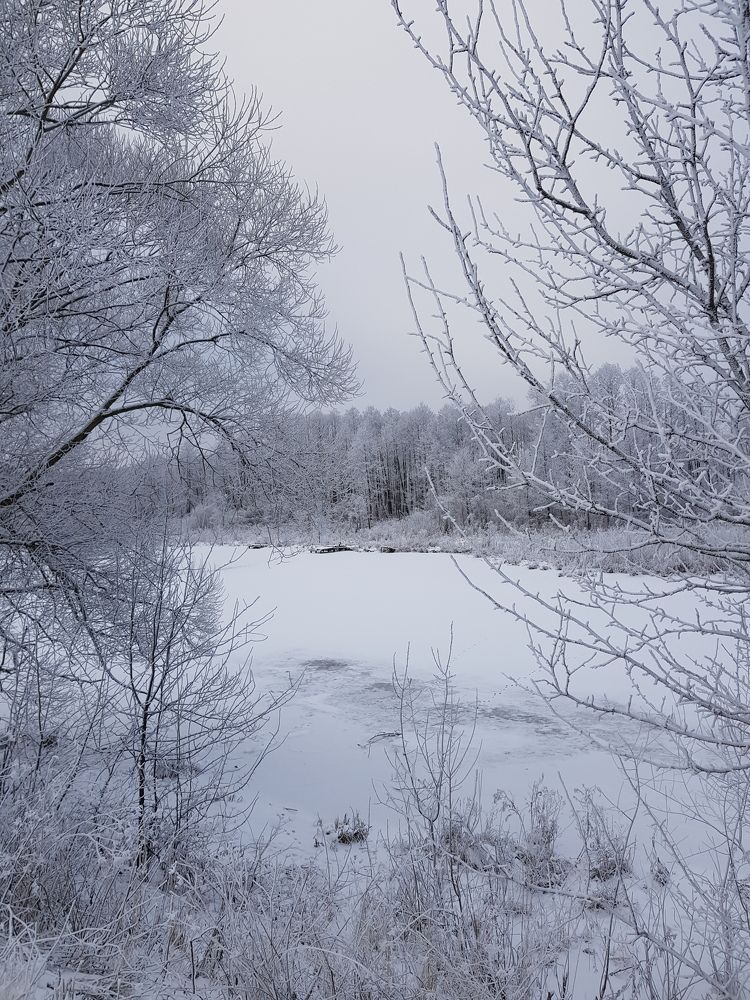 Photograph by Татьяна Яркович