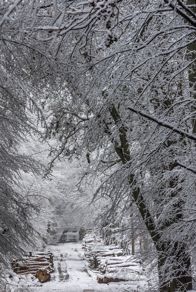 Photograph by Krzysztof Bozalek