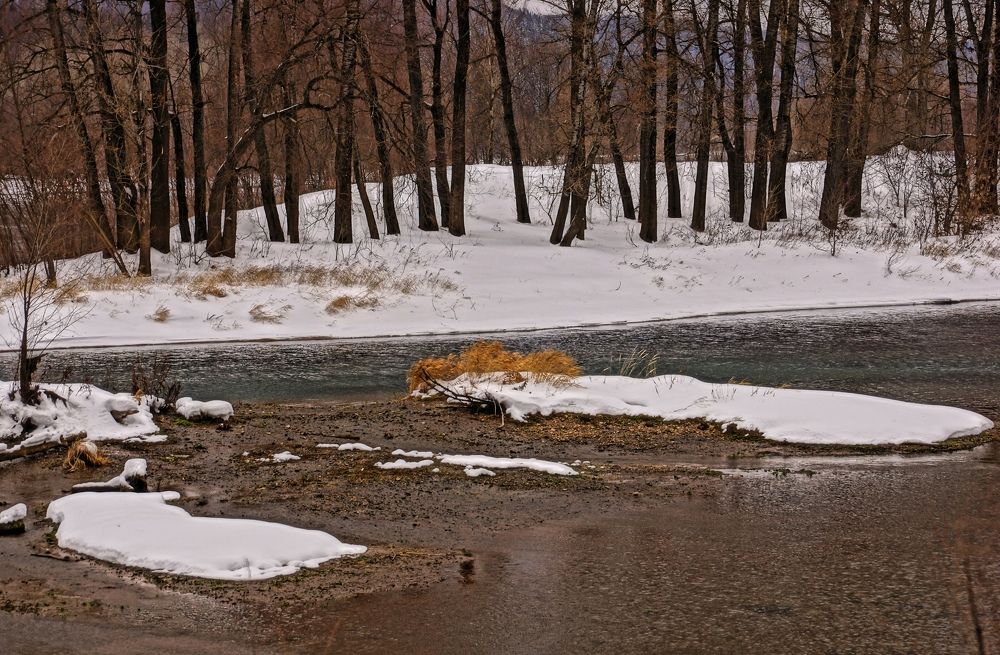 Photograph by Игорь Кравцов