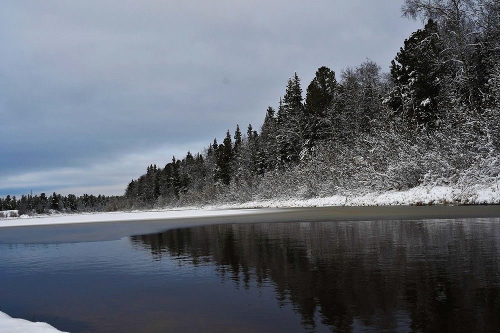 Первый снег