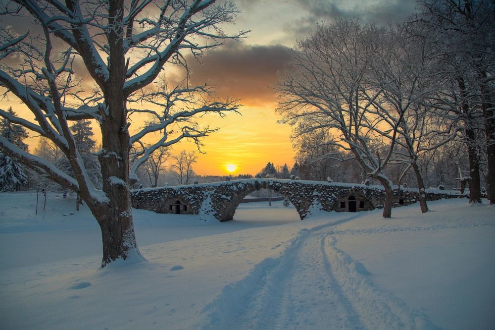 Photograph by Ирина Ларина