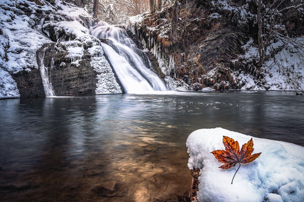 Photograph by Іван Кочержат