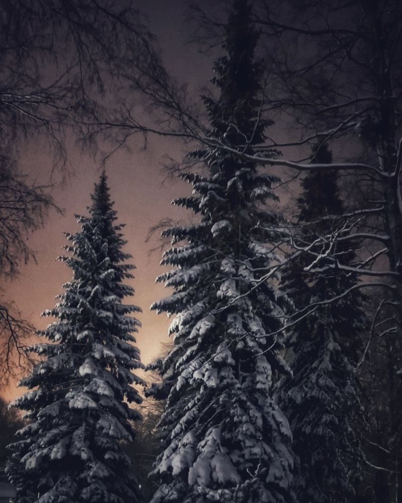 Photograph by Логинова Наталия