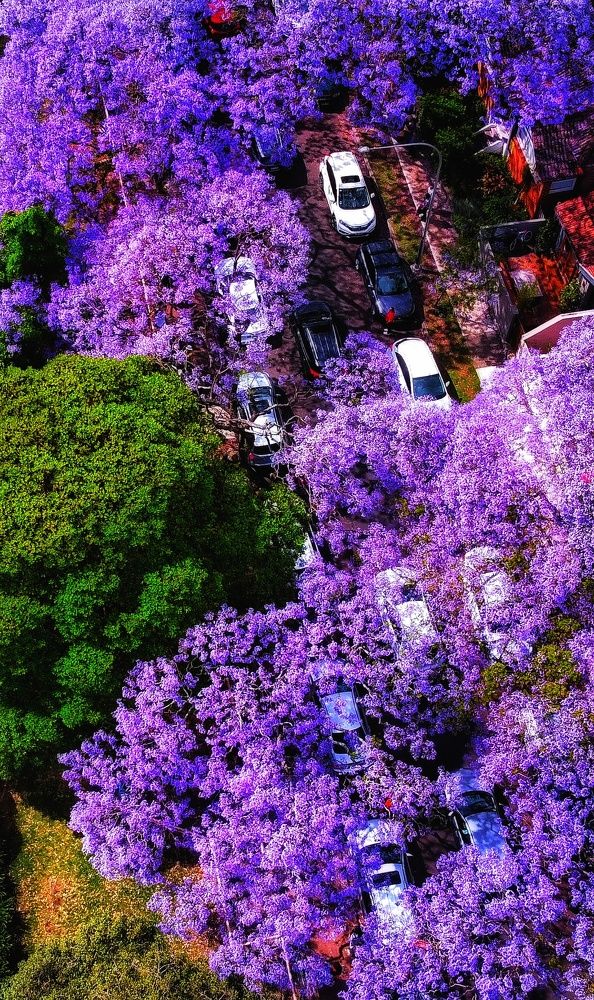 Фотография автора Sayan Raha