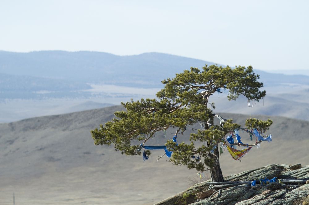 Фотография автора Светлана Барнадаева