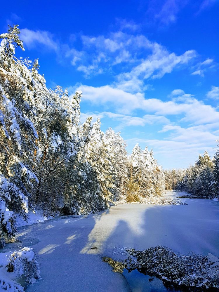 Photograph by Александр Коваленко