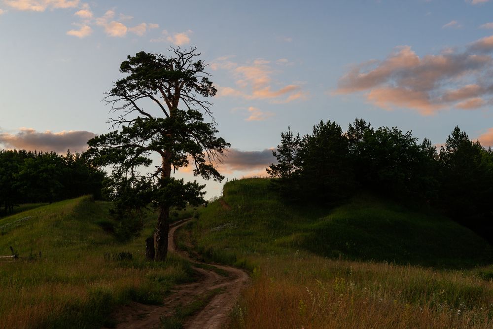 Photograph by Давыдова Гульгена