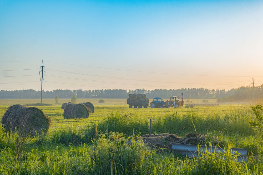 Photograph by Герман Корнеев