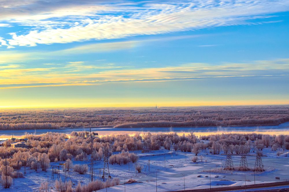 О деревьях и декабрьском рассвете. December trees and sunrise