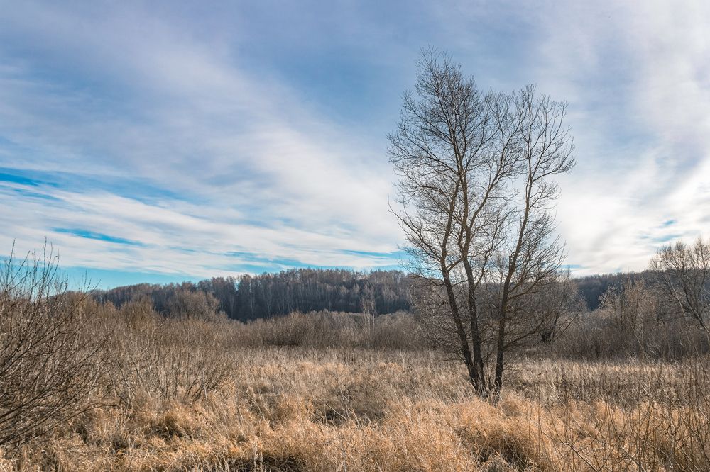 Photograph by Герман Корнеев