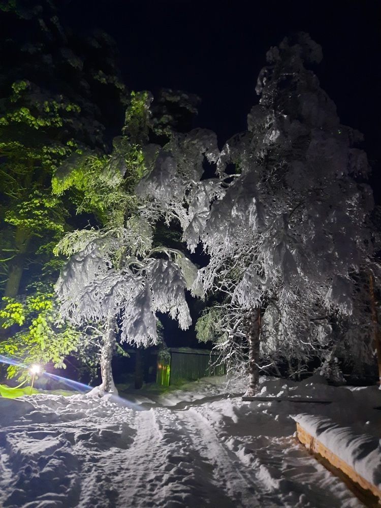 Photograph by Дмитрий Черкашин