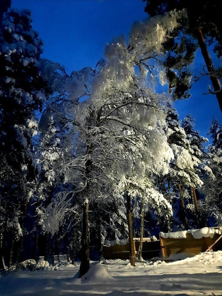 Photograph by Дмитрий Черкашин