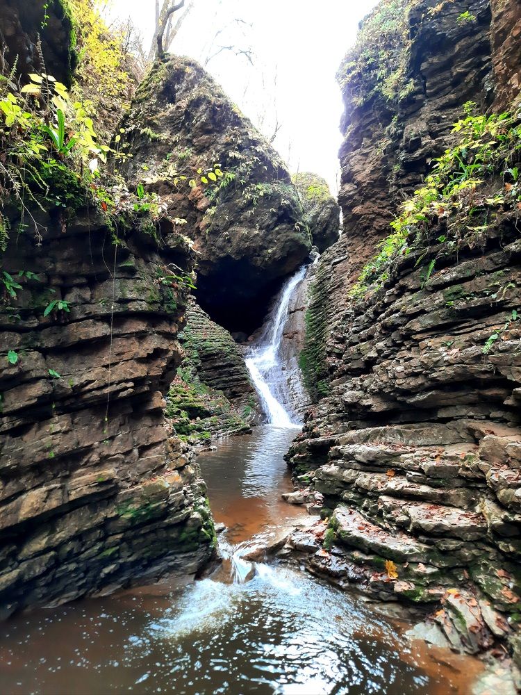 Photograph by Дмитрий Черкашин