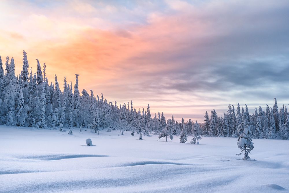 Photograph by Андрей Баскевич