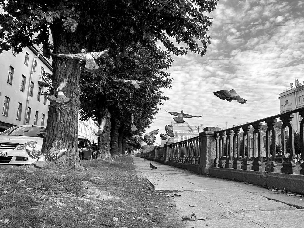 Photograph by Вадим Качанов