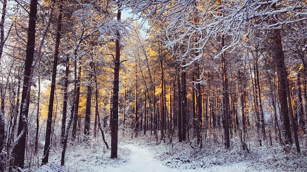 Photograph by Виталий Горюнов