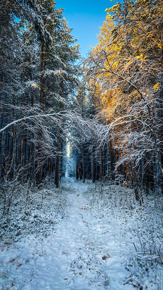 Photograph by Виталий Горюнов