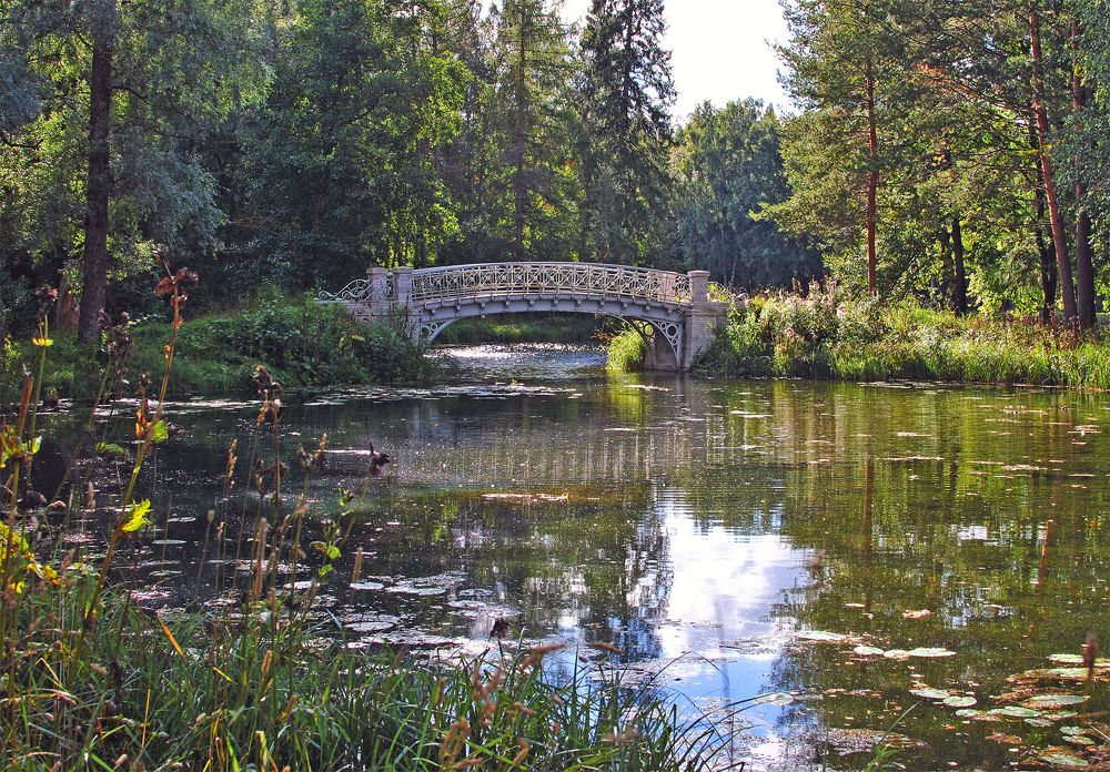 Photograph by Алексей